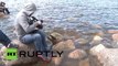 Russia: Rehab seals released back into the wild