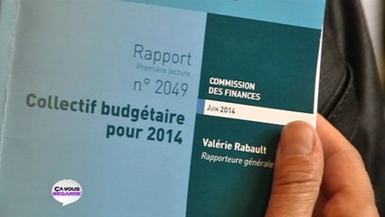 La majorité se déchire autour du budget rectificatif 2014