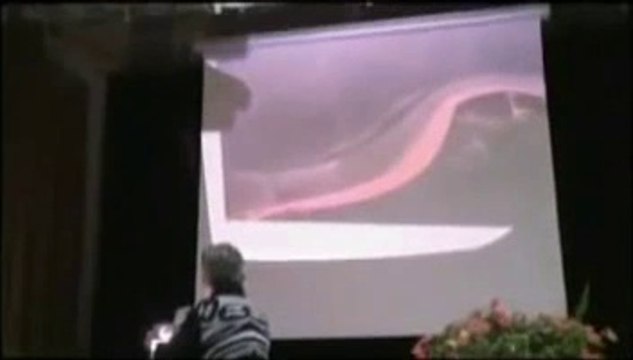 bienêtreaujus Claude Bourguignon 1_3 Nouvelles techniques d assolement