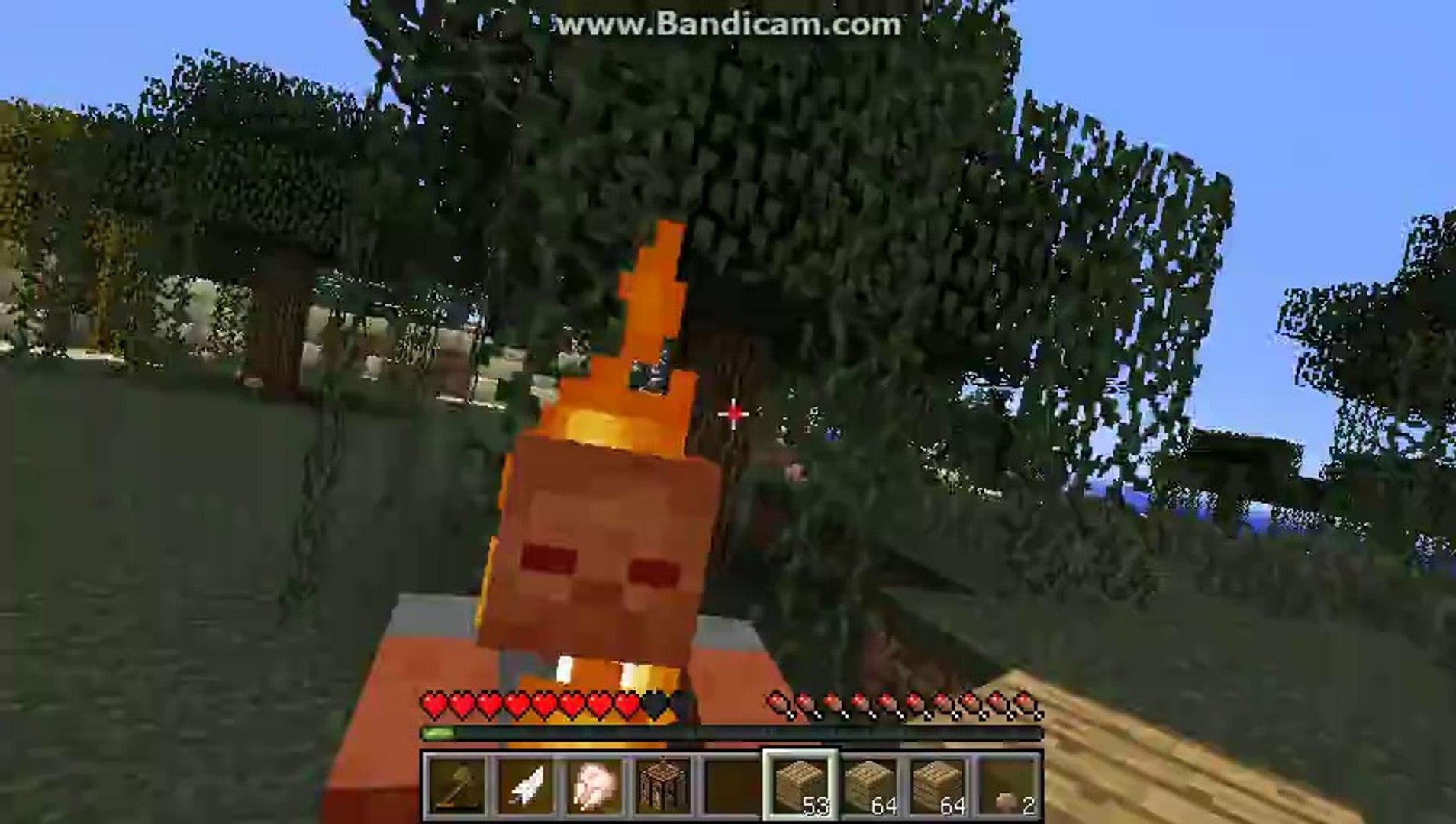 Minecraft Survival Bölüm #1 Mertcan Oyunda