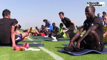 VIDEO. Les premiers pas de Régis Brouard, nouvel entraîneur des Chamois niortais