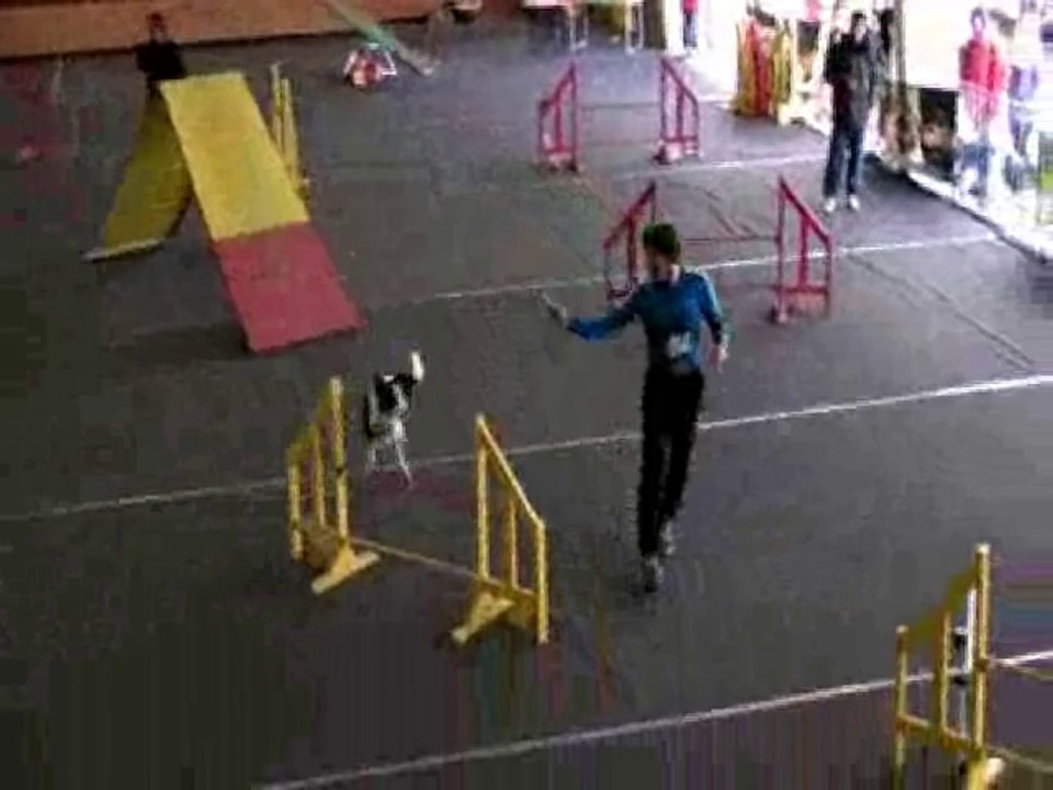 Didier et Artigue 1er concours 23 mars 2014 Aristochiens