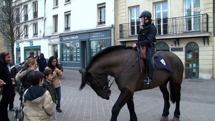 Démonstration des brigades équestres au salon du cheval.