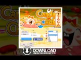 Candy Crush Saga Hack Cheat Egnine UNLIMITED moves lives and gold June 2014