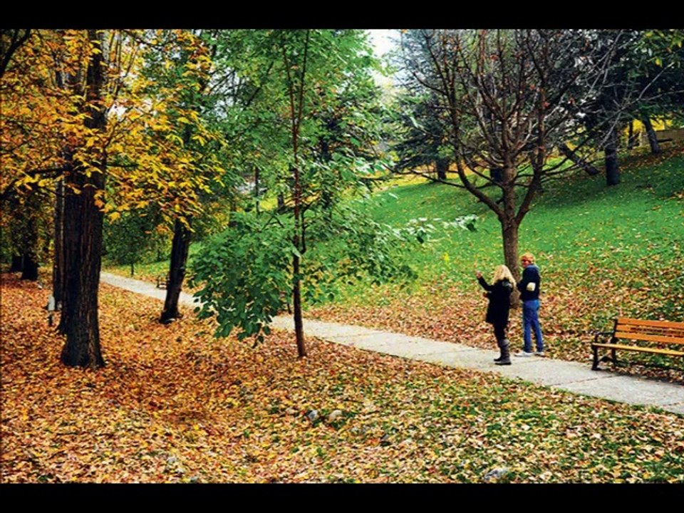 Sustum - Aytekin YILMAZ