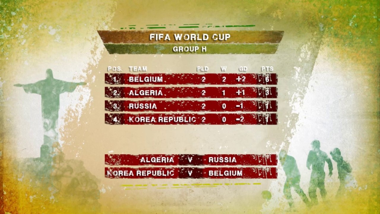 WM 2014: Defour: 'Mehr als nur elf gute Spieler'