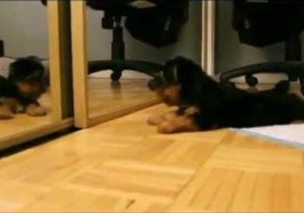 Remi's First Mirror Experience