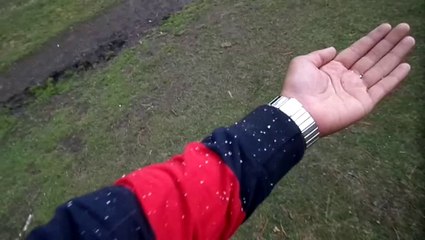 Snowfall at fairy meadows Pakistan tour 2014