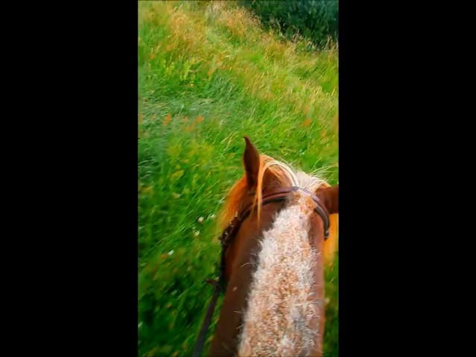 Un petit galop avec kiss