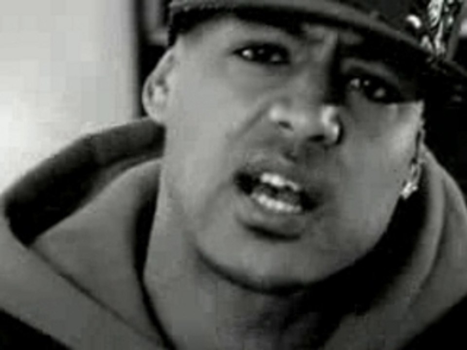 Booba-pitbull