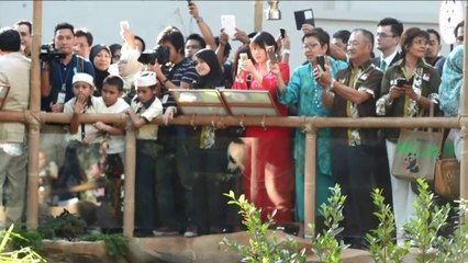 Pandas em nome da diplomacia