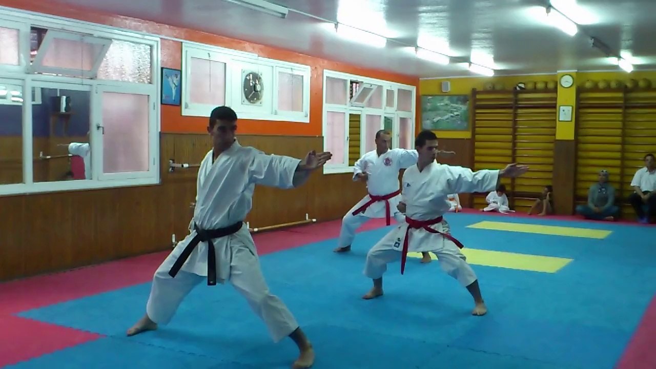 kata hein godan par equipe