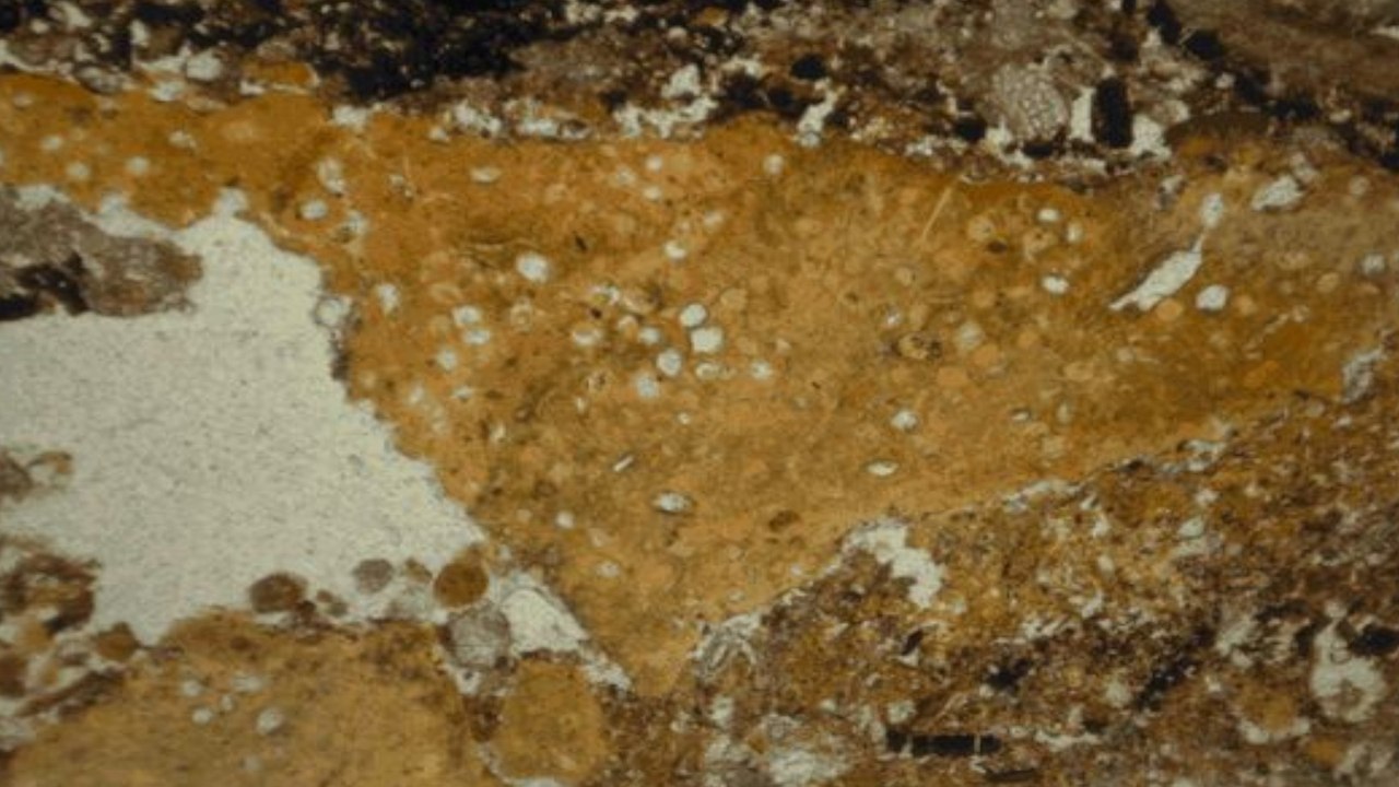 The Oldest Human Poop Reveals Its Many Secrets