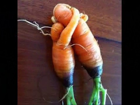 Chanson ET TU DANSES AVEC LUI