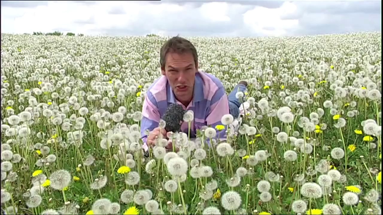 Kieler Woche TV - Die Story: Der Wettermann - Meeno Schrader