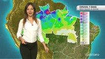 Chuva prejudica o cacau na Bahia