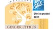 Best Price Bar Soap Ginger Citrus 5.25 Ounces Review
