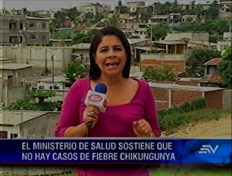 Ecuador no registra casos del virus Chikungunya, según el Ministerio de Salud