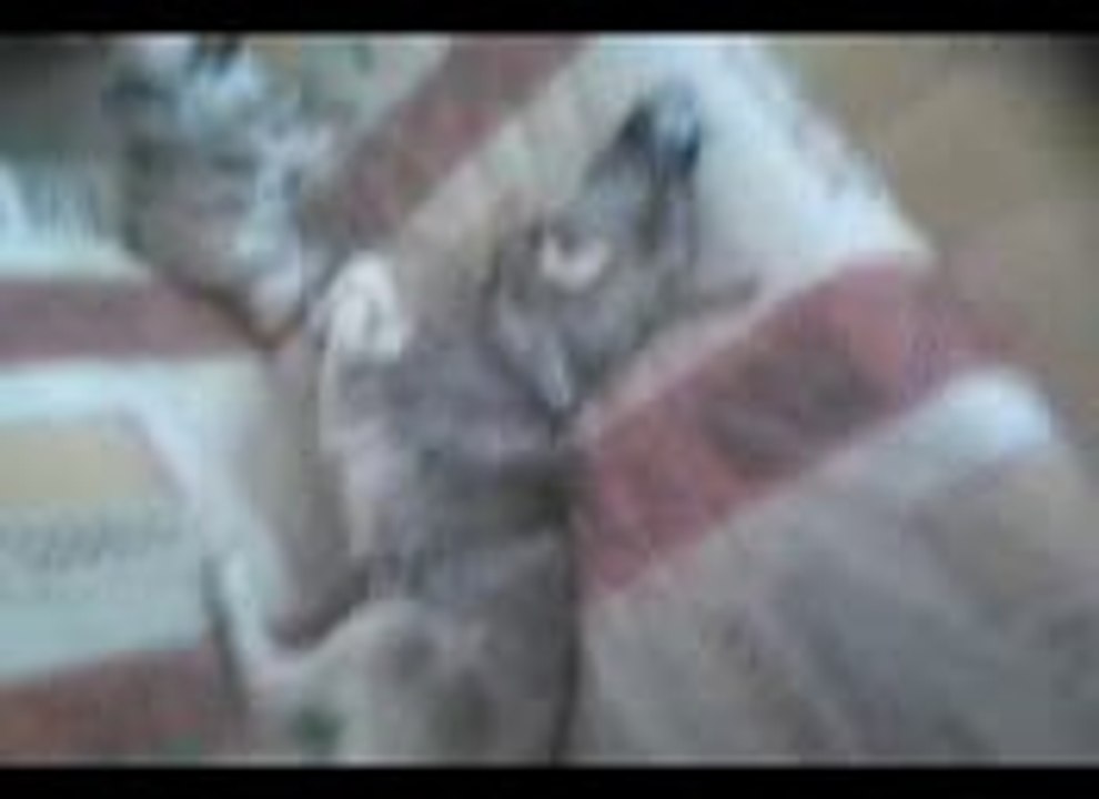 VE_20140626_050910