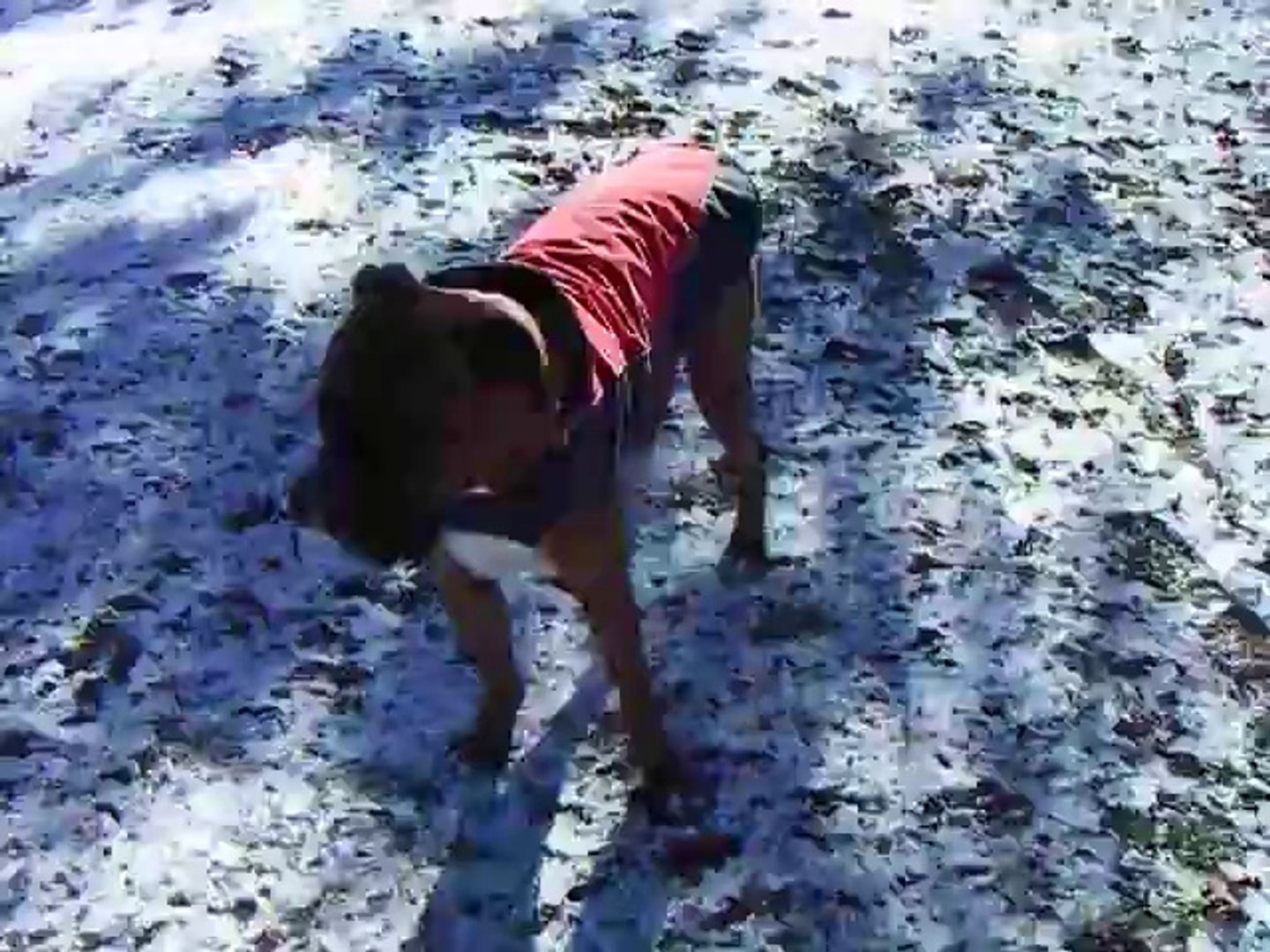 Dogs on a soccer field