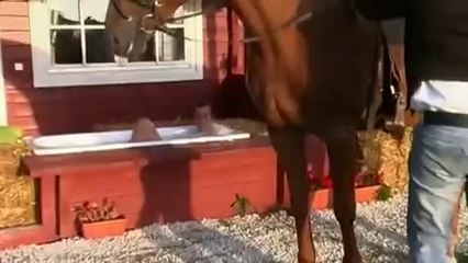 Marco Bandero - 'So 'ne Perle wie Du'