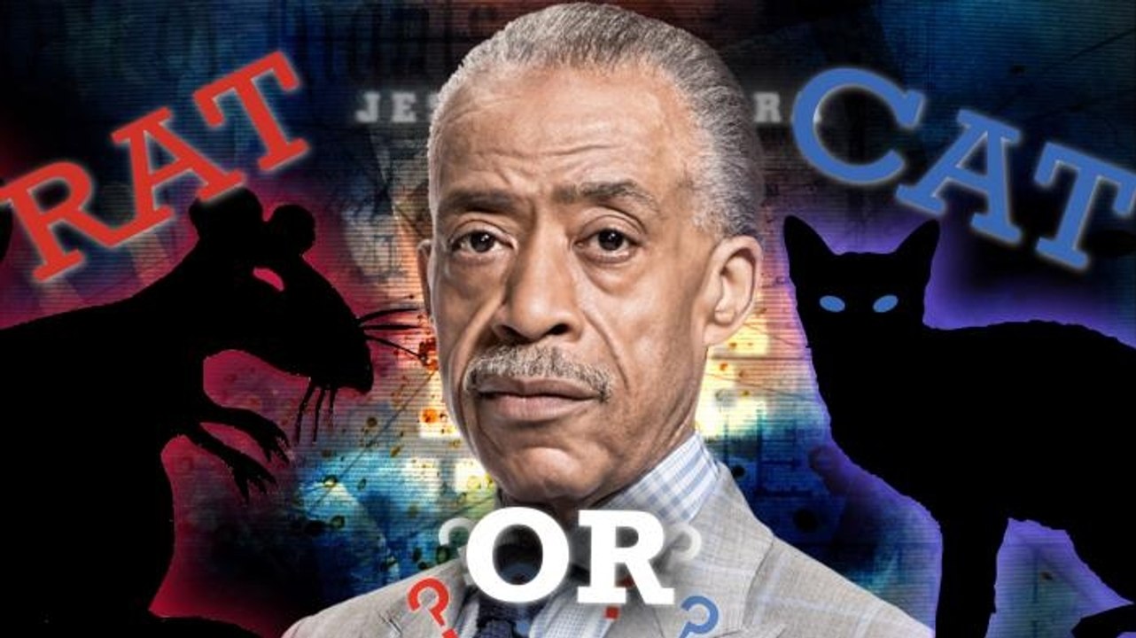 Al Sharpton: A Rat or a Cat?