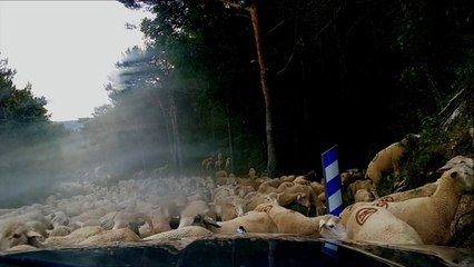 Mercantour et Verdon