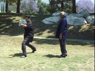 Five Forms To Black - Vol. 1 -  Grandmaster James Ibrao - Feature (Documentary, Instructional)