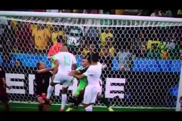 Cezayir 1-1 Rusya Maçı Golleri \ 2014