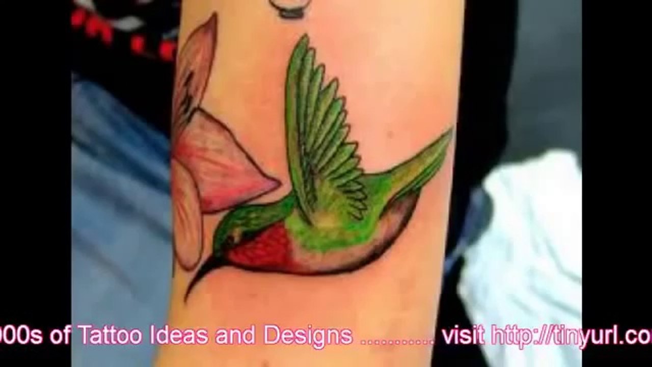 Bird Tattoo Designs - Bird Tattoos