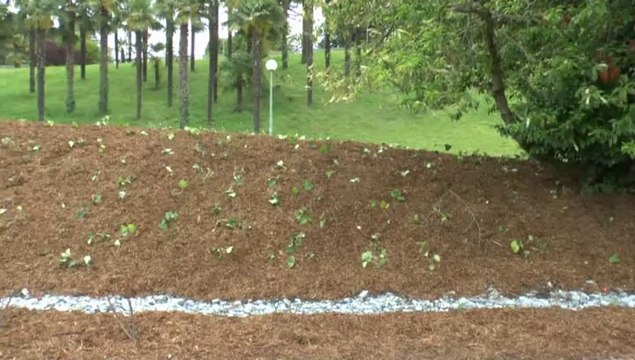 LES W-D.D. MICHOU SATURDAY NEWS - 24 MAI 2014 - ENCORE UN PETIT TOUR AUTOUR DU STADE NAUTIQUE.