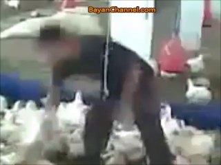 Janwaron Par Zulm Ki Inteha ASTAGHFIRULLAH