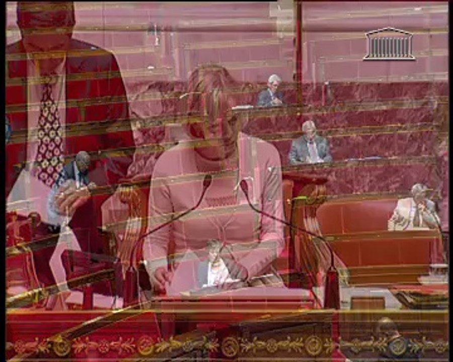 COLLECTIVITÉS TERRITORIALES DE GUYANE ET DE MARTINIQUE (suite) - Mercredi 29 Juin 2011