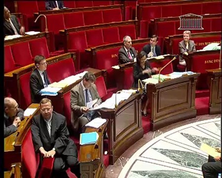 COLLECTIVITÉS TERRITORIALES DE GUYANE ET DE MARTINIQUE (suite) - Mercredi 29 Juin 2011