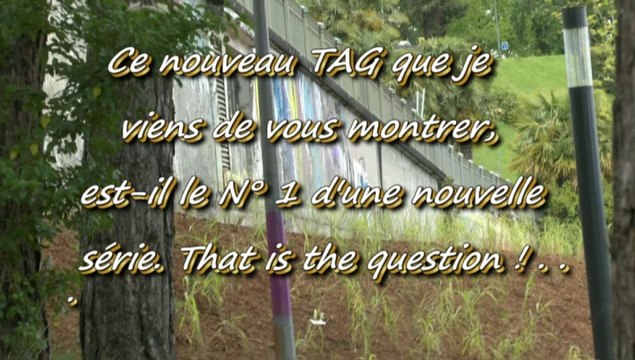 LES W-D.D. MICHOU SATURDAY NEWS - 31 MAI 2014 - NOUVEAU TAG SUR LE MUR SOUS LA RAMBARDE AU FOND STADE NAUTIQUE.