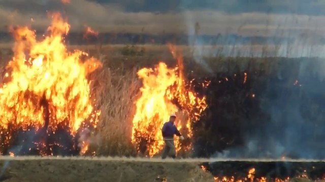 Rice Fields Burning in Japan!