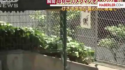 Jponya'da Domuz Muhabire Saldırdı