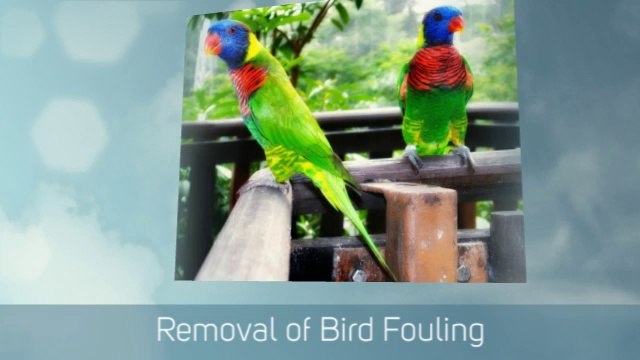 Professional and Friendly Property Clearing in Greater London