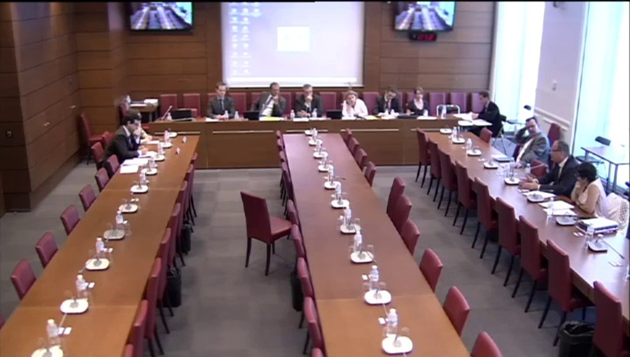 Audition de M. Jean-François Ouvrard, Directeur des Etudes Coe-Rexecode et Mme Amandine Brun-Schwamme, économiste Coe-Rexecode - Jeudi 26 Juin 2014
