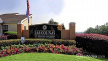 Las Colinas at Brook Hollow Apartments in Norcross, GA - ForRent.com