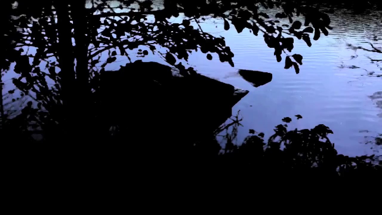 refu - derSEE (Alternativ Clip)  /Full Film/Ganzer Film/Complete Movie