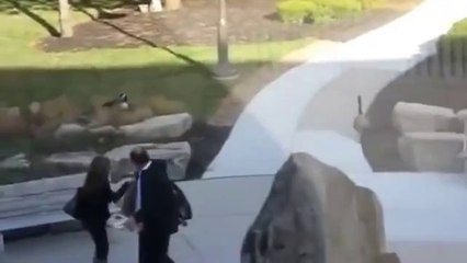 Adamın Kazla imtihanı