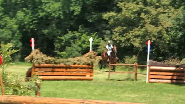 Cheval Pratique - CCE Lion d'Angers1