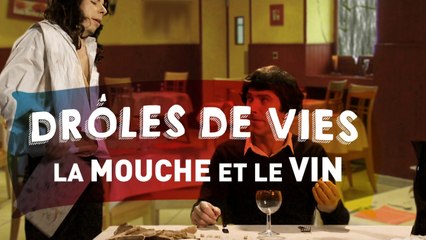 Drôles de vies #7 - La mouche et le vin