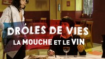 Drôles de vies #7 - La mouche et le vin