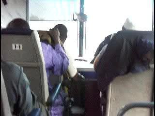 Niger Zinder aller