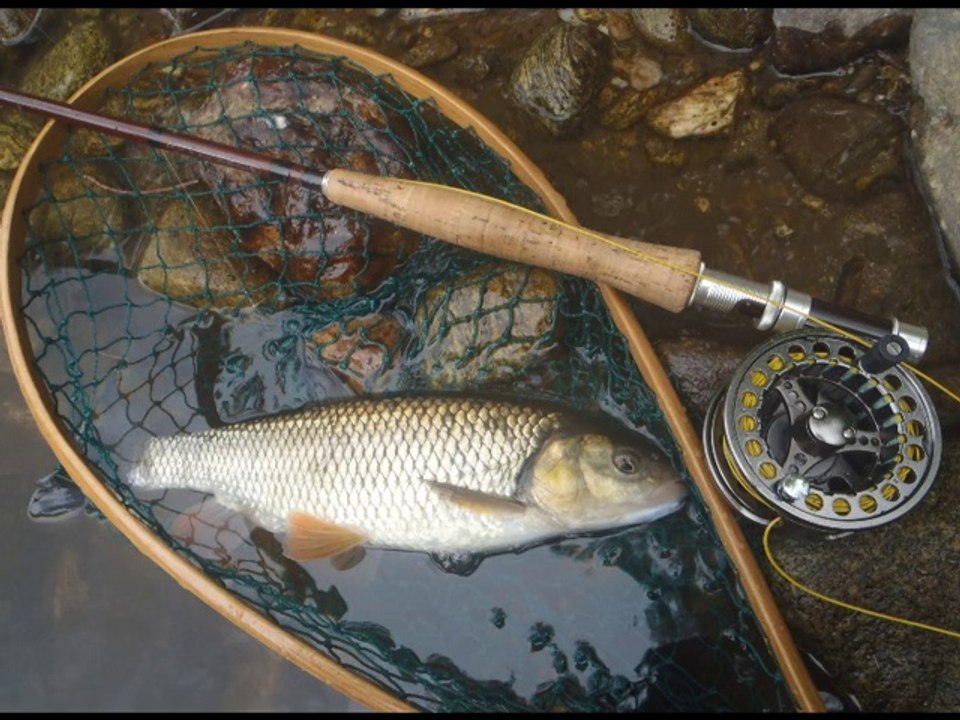 PHIL DENIS STEPH ET LOU PESCAYRE AU COUP DU SOIR
