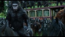 Dawn of the Planet of the Apes - Apes don't want war