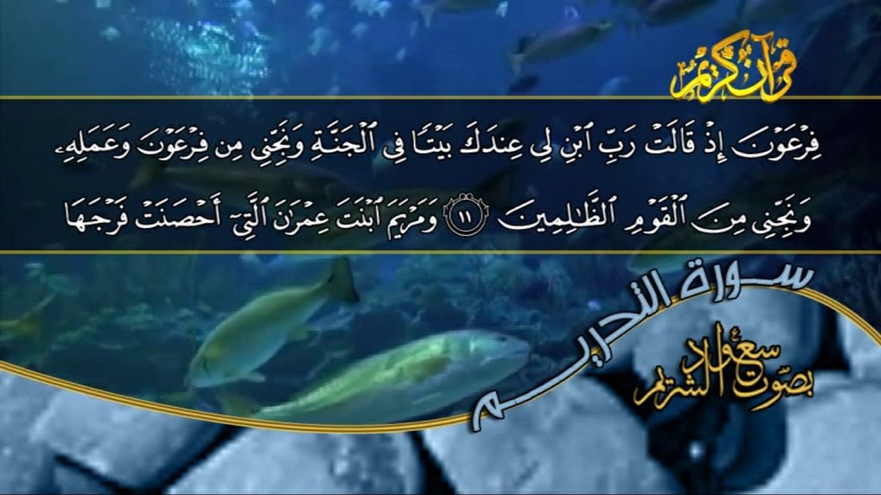 سورة التحريم كاملة بصوت القارئ سعود الشريم