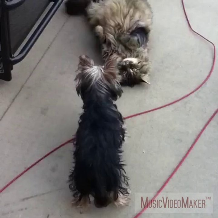 Fannie et Tobby